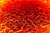 1414° Silicon image