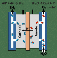 Schematic of a polymer electrolyte membrane electrolyser