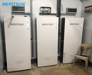 Meritsun Hybrid Power Grid